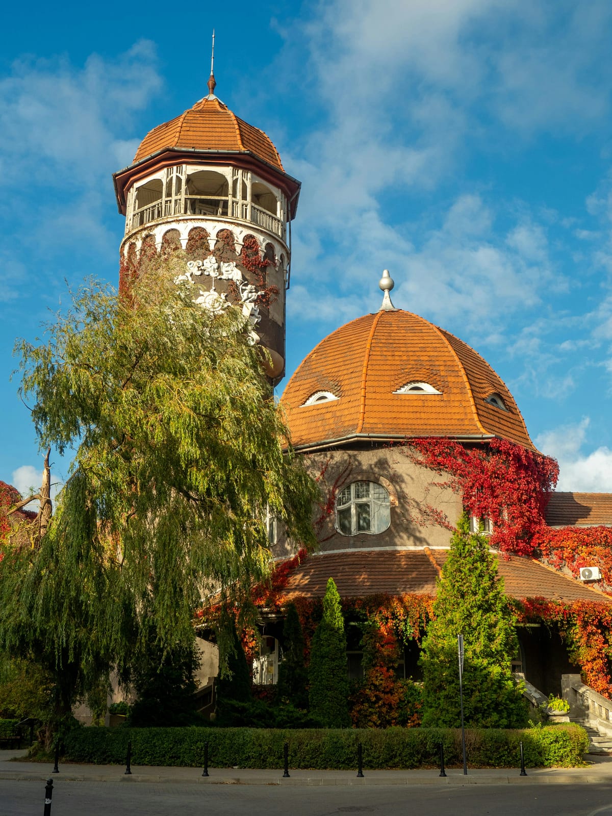 Svetlogorsk: The Charming Baltic Resort Town svetlogorsk water tower